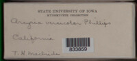 Image Associated With the Occurence
